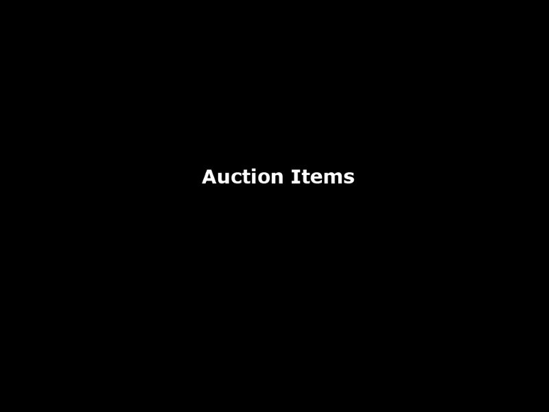 auction_800x600