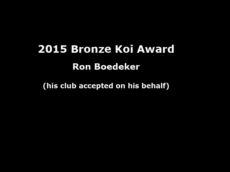 bronze-award 
