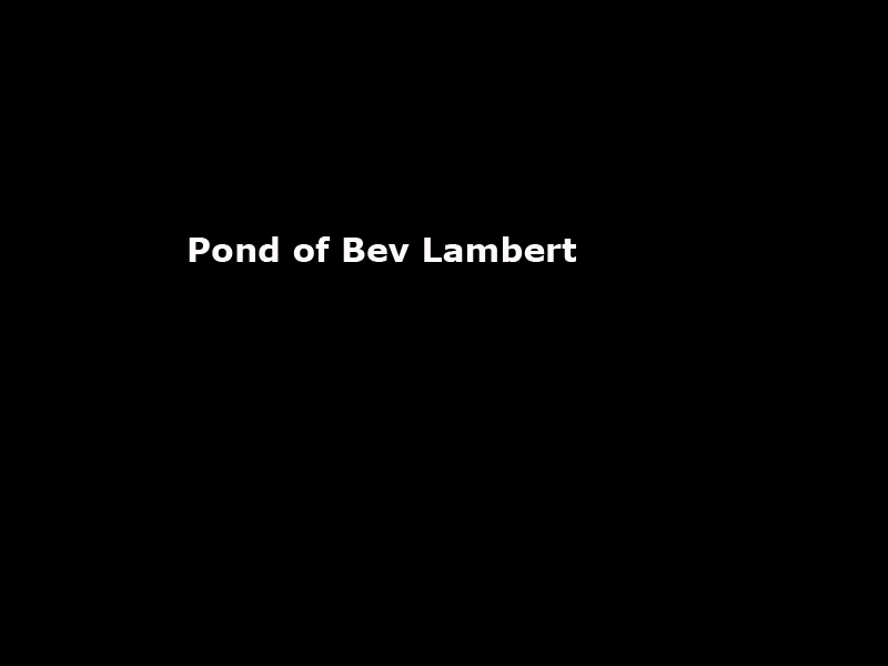 lambert_pond