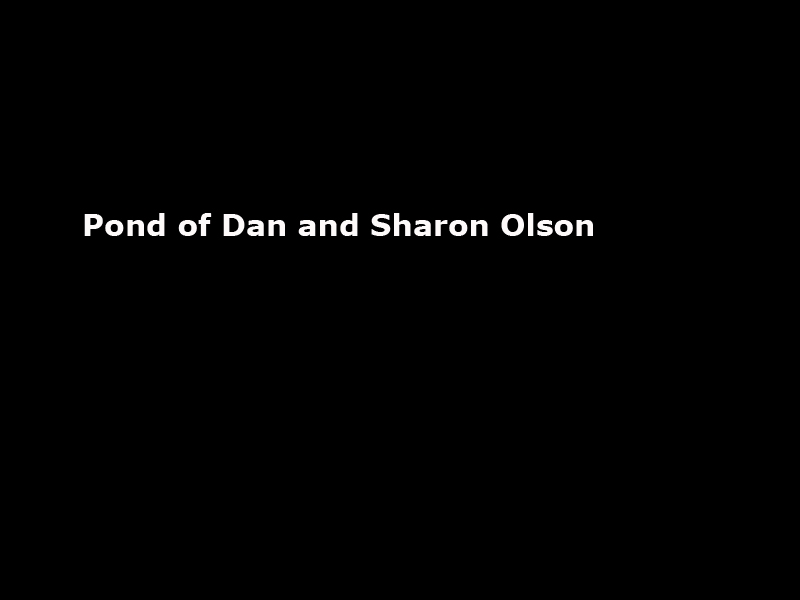 olson_pond