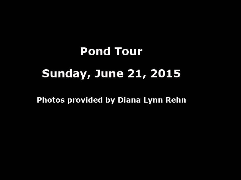 pond_tour