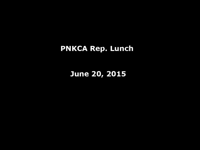 rep lunch_800x600