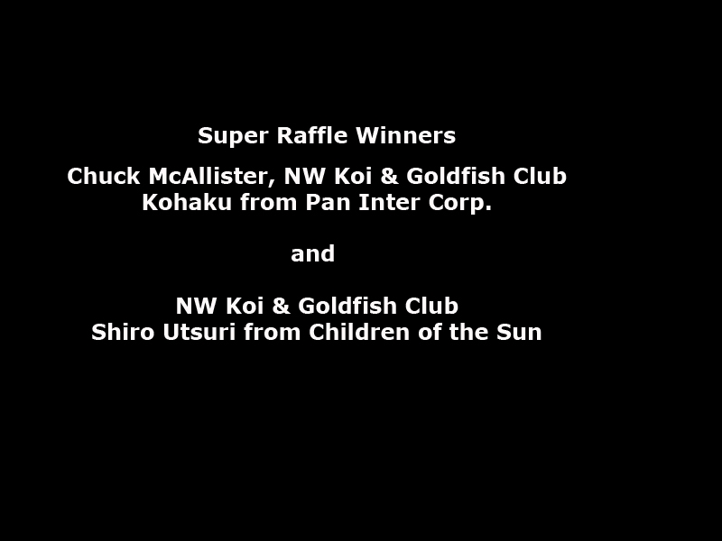 super_raffle